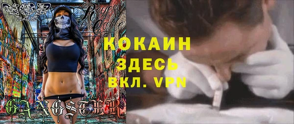 стаф Сафоново